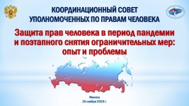 Хабаровский омбудсмен выступил с докладом на заседании Координационного совета уполномоченных по правам человека в Российской Федерации